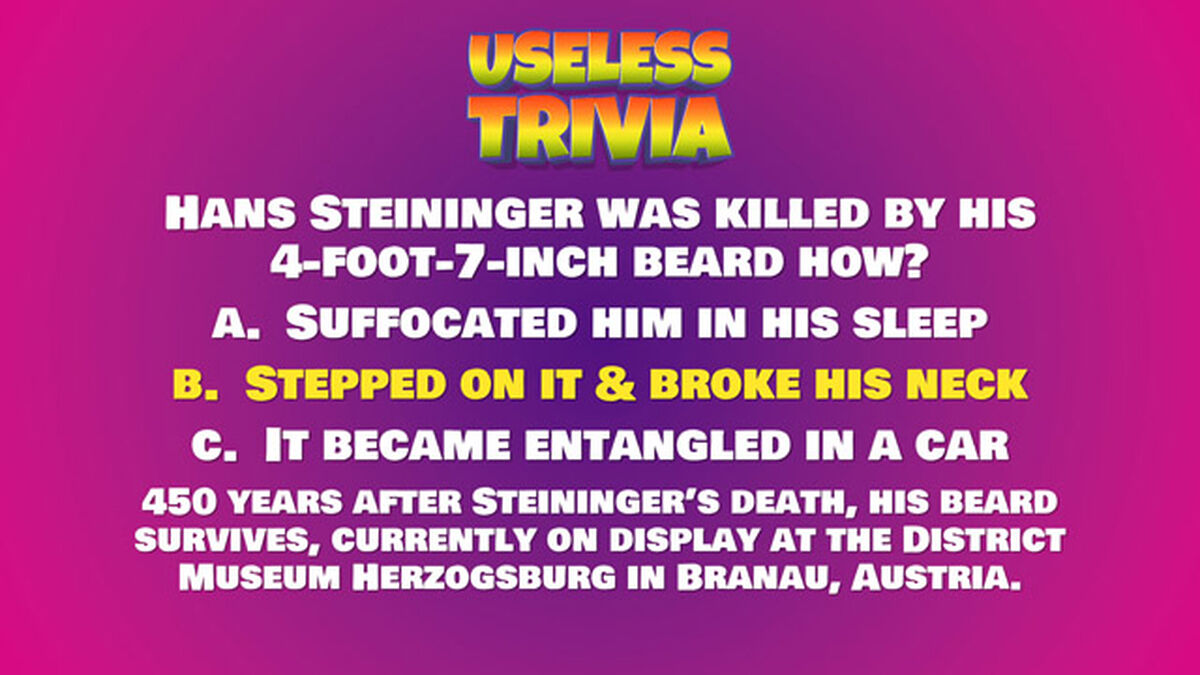 Useless Trivia: Weird Edition image number null